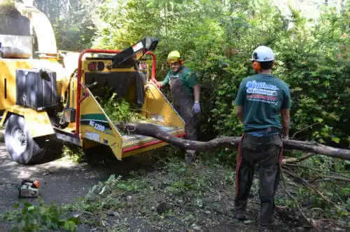 tree services Lucerne Valley